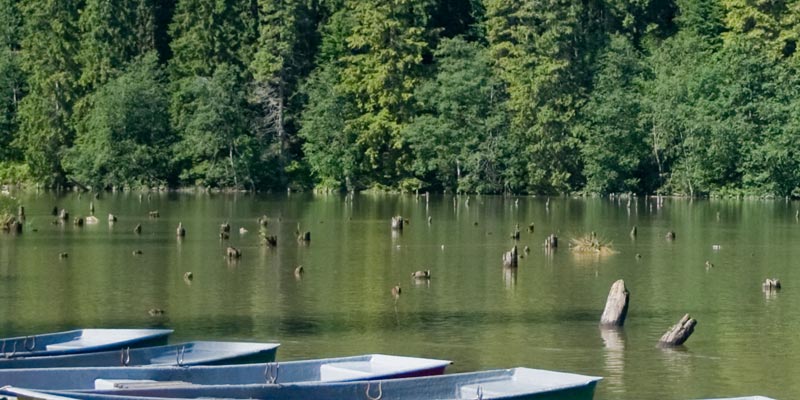 Această imagine are atributul alt gol; numele fișierului este Lacul-Rosu1.jpg