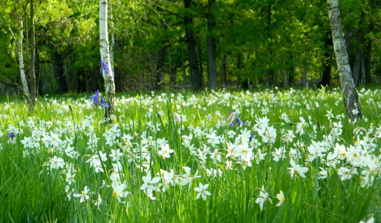Frumusețile naturale din România