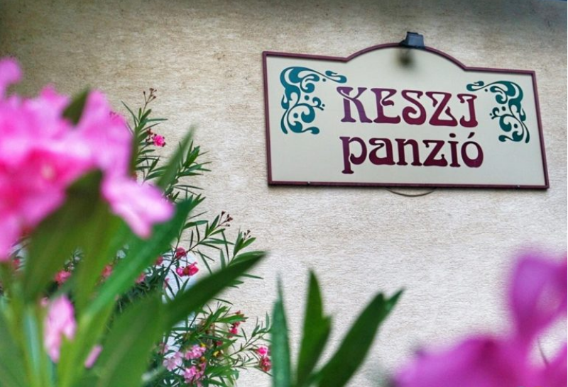 Cazare lângă Budapesta: review Keszi Panzio – pensiunea cu flori şi căprioare Cazare lângă Budapesta: review Keszi Panzio – pensiunea cu flori şi căprioare