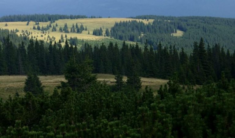 Trasee turistice în Parcul Național Călimani