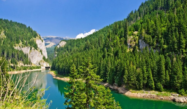 Lacul Bolboci
