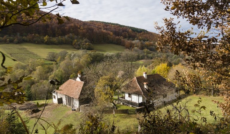 Ca regii în Valea Zălanului