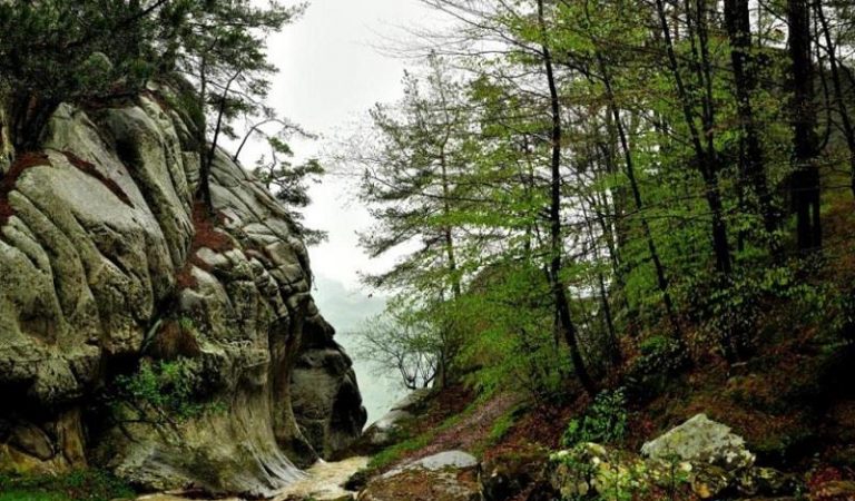 Cascada Săritoarea