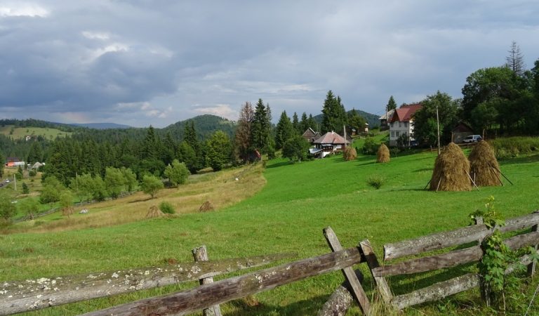 Drumeții în Apuseni Drumeții în Apuseni