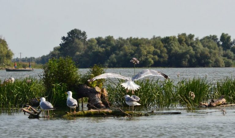 Sulina – zona de coastă neatinsă de turismul comercial, ideală pentru relaxare Sulina – zona de coastă neatinsă de turismul comercial, ideală pentru relaxare