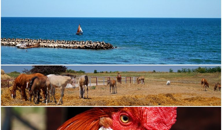 Ce să faci în afară de plajă în sudul litoralului românesc