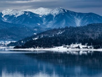 frozen lake and pine trees in snow at colibita rom E37U2GB