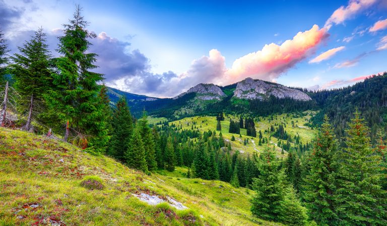 Pietrele Albe – prețioasele din Apuseni Pietrele Albe – prețioasele din Apuseni