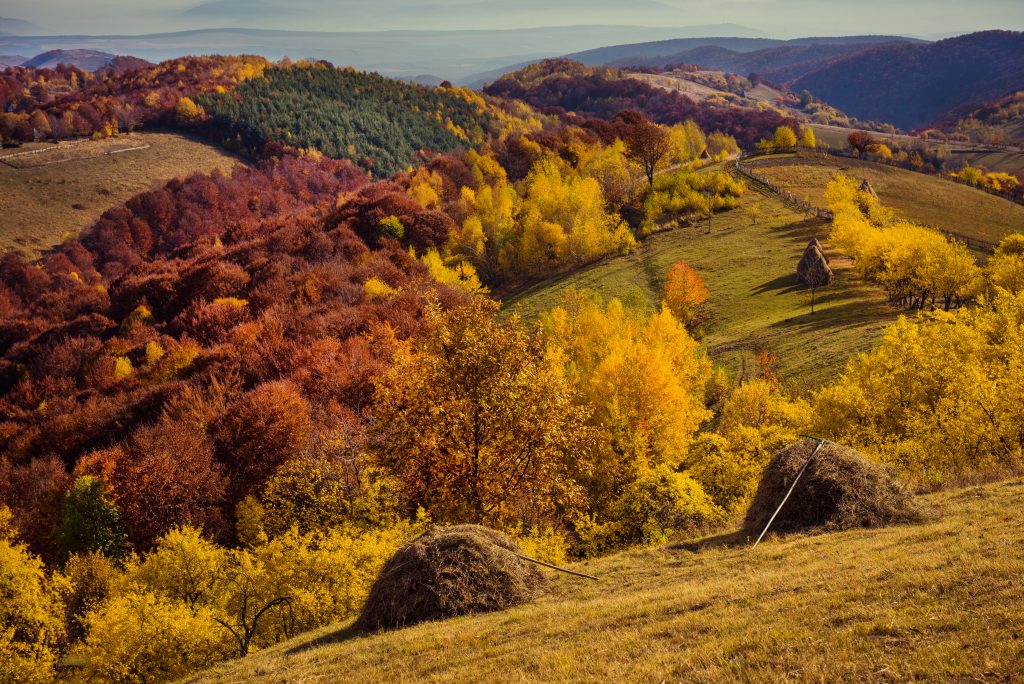 fall in the mountains autumn in transylvania roman PCM52YM